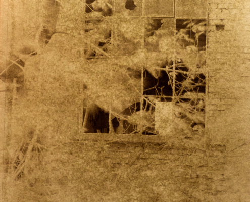 Fenster, LPG Müggenburg, Zingst, Salzdruck ©Klaus-Peter Gnass