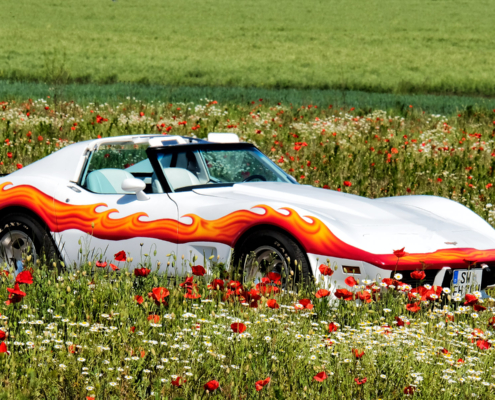 Chevrolet Corvette C3 Bj. 1977 – Weiß mit Flammendekor, Besitzer Frank Heinisch